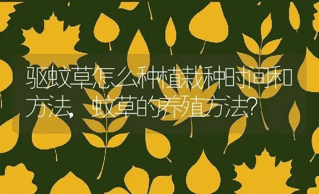驱蚊草怎么种植栽种时间和方法,蚊草的养殖方法？ | 养殖科普