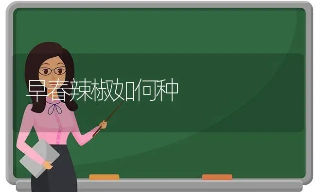早春辣椒如何种 | 养殖技术大全