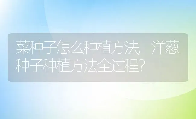 菜种子怎么种植方法,洋葱种子种植方法全过程？ | 养殖科普