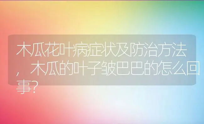 木瓜花叶病症状及防治方法,木瓜的叶子皱巴巴的怎么回事？ | 养殖科普