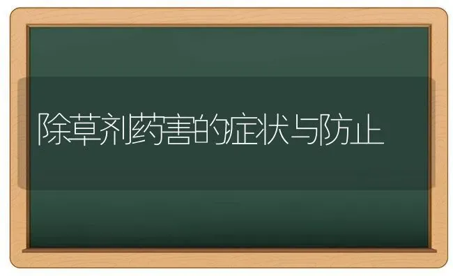 除草剂药害的症状与防止 | 养殖知识