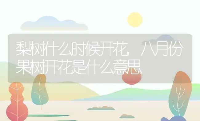 梨树什么时候开花,八月份果树开花是什么意思 | 养殖学堂