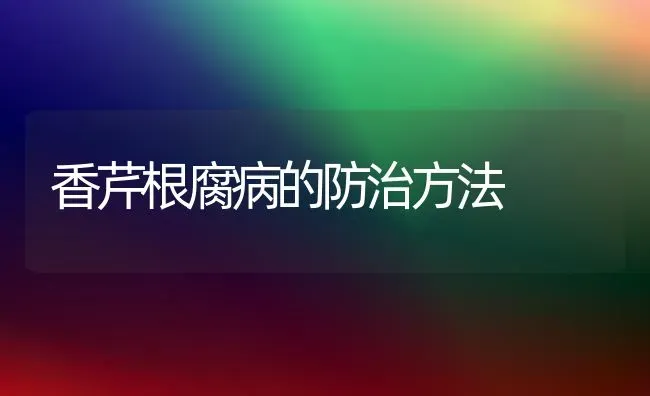 香芹根腐病的防治方法 | 养殖技术大全