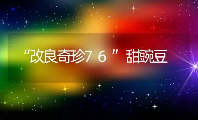 “改良奇珍76”甜豌豆 | 养殖知识