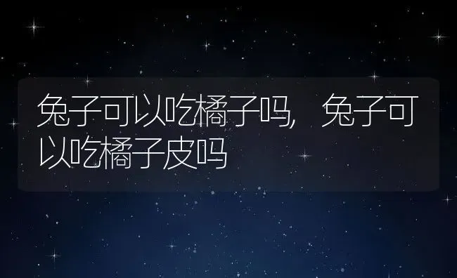 兔子可以吃橘子吗,兔子可以吃橘子皮吗 | 养殖科普