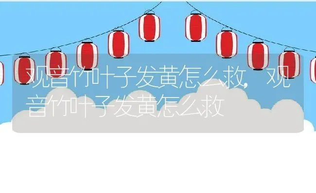 观音竹叶子发黄怎么救,观音竹叶子发黄怎么救 | 养殖科普