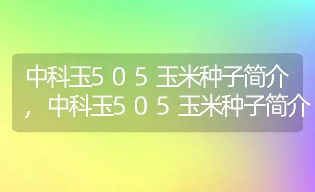 中科玉505玉米种子简介,中科玉505玉米种子简介 | 养殖科普