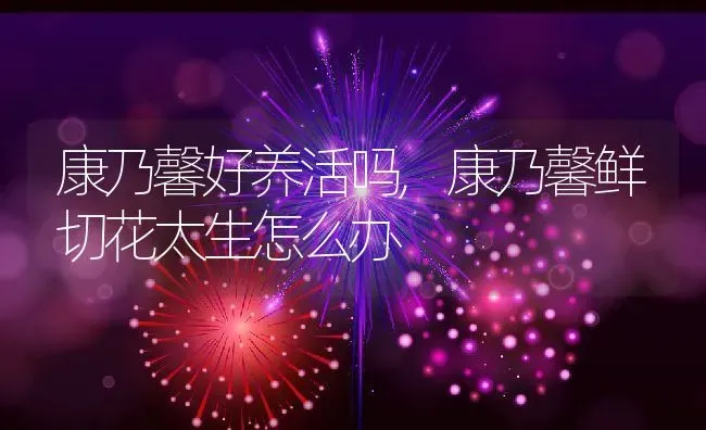 康乃馨好养活吗,康乃馨鲜切花太生怎么办 | 养殖学堂