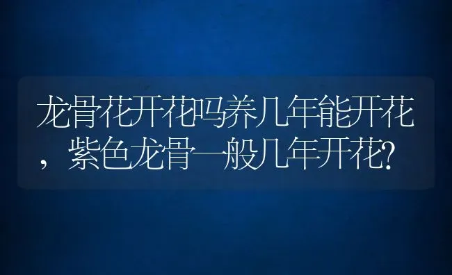 龙骨花开花吗养几年能开花,紫色龙骨一般几年开花？ | 养殖科普