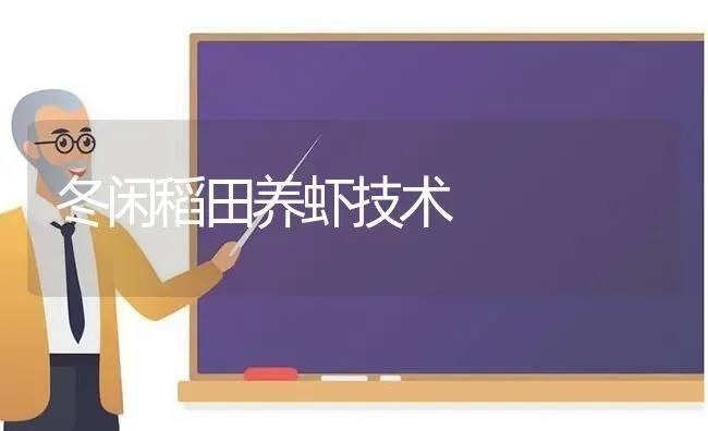 冬闲稻田养虾技术 | 养殖知识