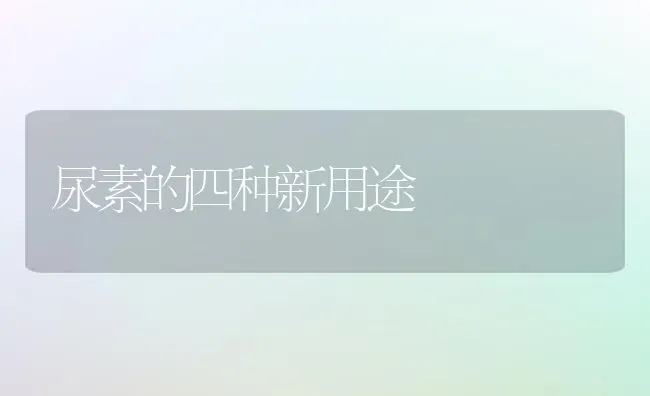 尿素的四种新用途 | 养殖知识