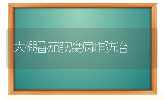 大棚番茄筋腐病咋防治 | 养殖技术大全