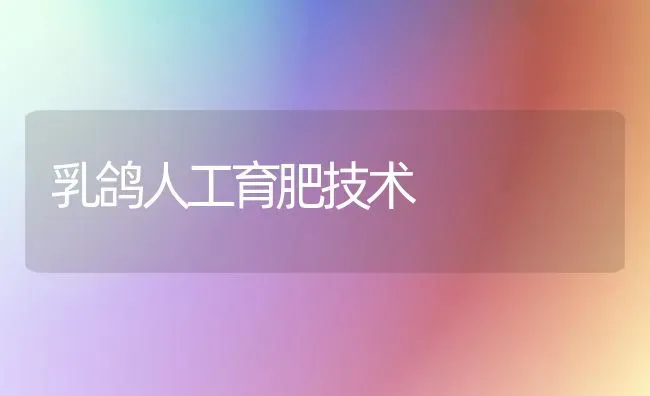 乳鸽人工育肥技术 | 养殖技术大全