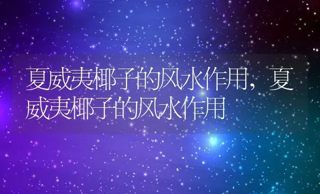 夏威夷椰子的风水作用,夏威夷椰子的风水作用 | 养殖科普
