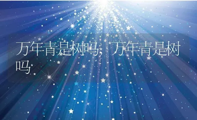 万年青是树吗,万年青是树吗 | 养殖科普