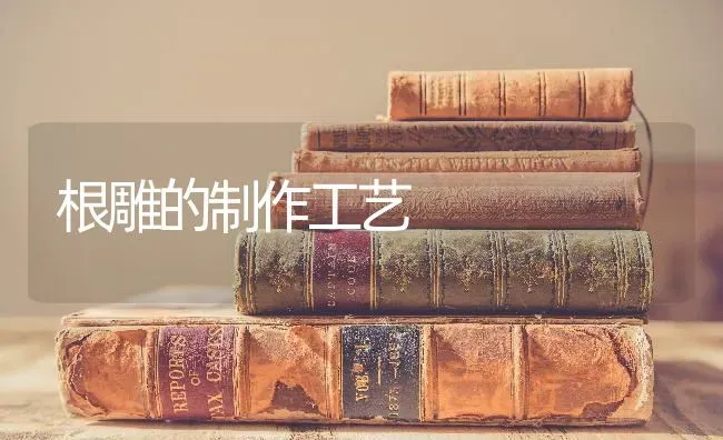 根雕的制作工艺 | 养殖技术大全