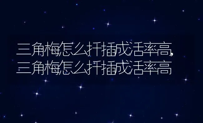 三角梅怎么扦插成活率高,三角梅怎么扦插成活率高 | 养殖科普