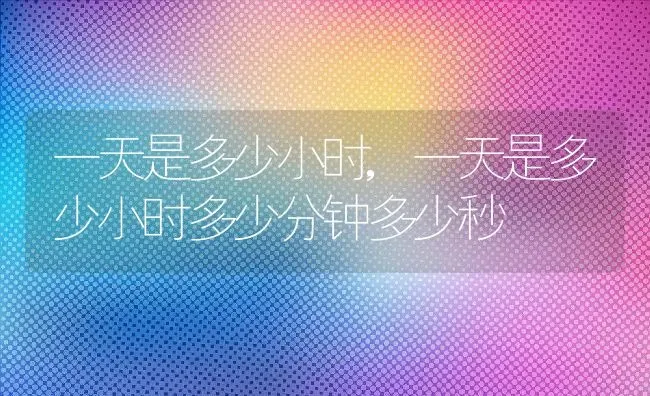 一天是多少小时,一天是多少小时多少分钟多少秒 | 养殖科普