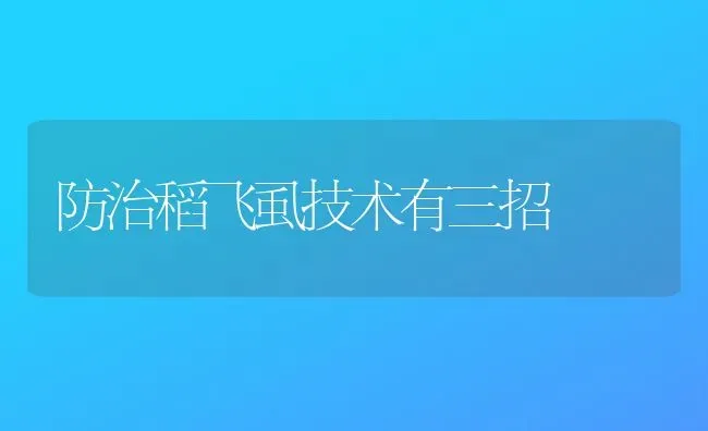 防治稻飞虱技术有三招 | 养殖知识