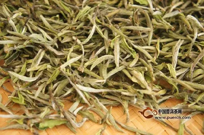 白牡丹怎么泡最好,福鼎白茶白牡丹怎么泡？