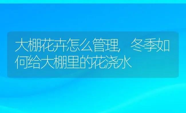 大棚花卉怎么管理,冬季如何给大棚里的花浇水 | 养殖学堂