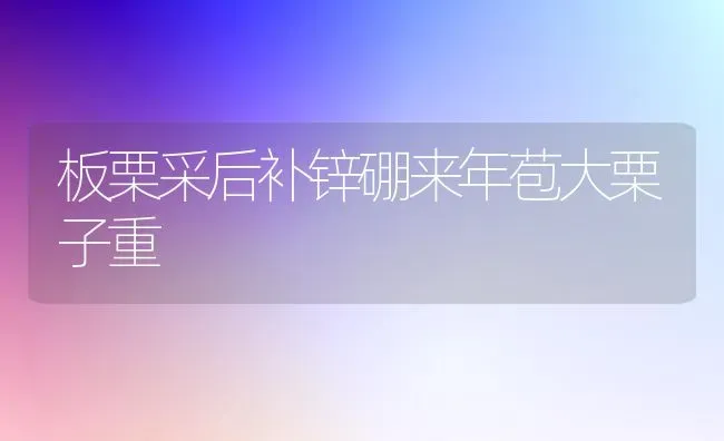 板栗采后补锌硼来年苞大栗子重 | 养殖技术大全
