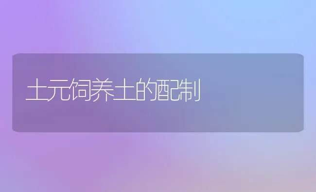 土元饲养土的配制 | 养殖知识