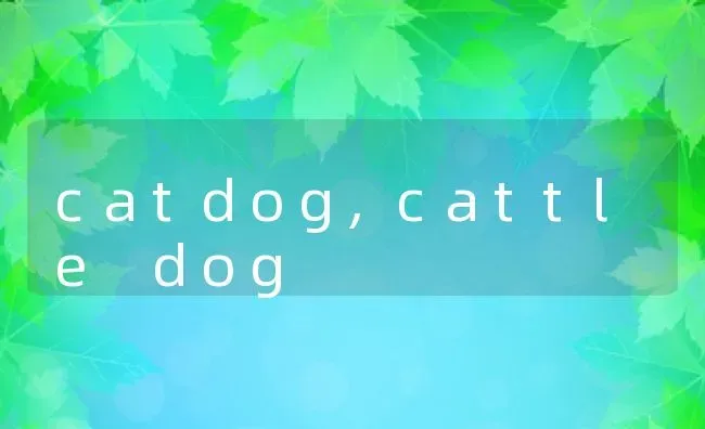 catdog,cattle dog | 养殖资料