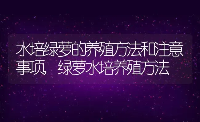 水培绿萝的养殖方法和注意事项,绿萝水培养殖方法 | 养殖学堂