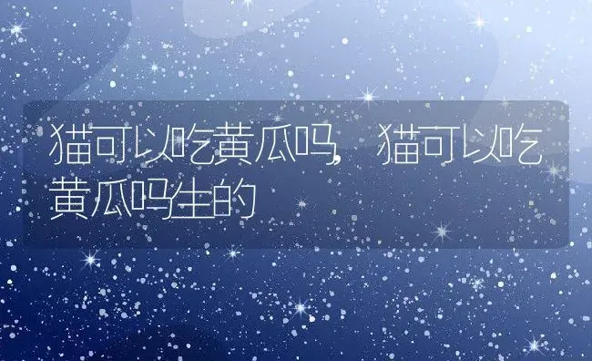 猫可以吃黄瓜吗,猫可以吃黄瓜吗生的 | 养殖科普
