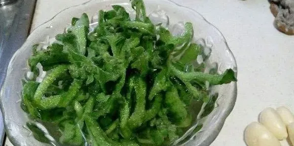 冰菜种植时间和种植方法技巧 | 实用知识