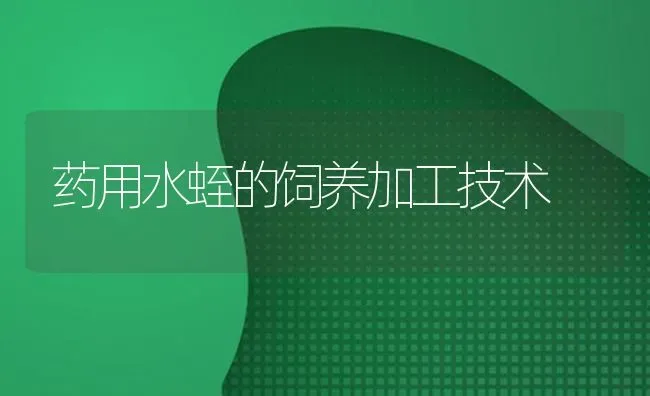 药用水蛭的饲养加工技术 | 养殖技术大全