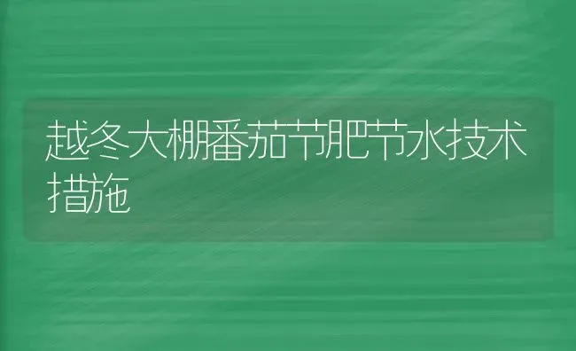 越冬大棚番茄节肥节水技术措施 | 养殖知识