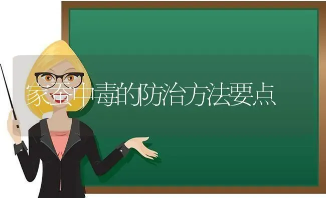 家蚕中毒的防治方法要点 | 养殖知识