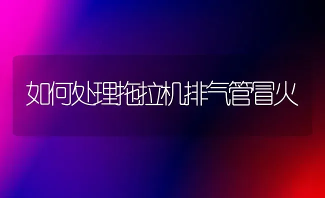 如何处理拖拉机排气管冒火 | 养殖知识