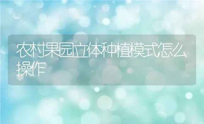 农村果园立体种植模式怎么操作 | 养殖学堂
