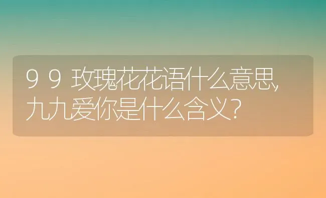 99玫瑰花花语什么意思,九九爱你是什么含义？ | 养殖科普