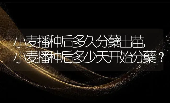小麦播种后多久分蘖出苗,小麦播种后多少天开始分蘖？ | 养殖学堂