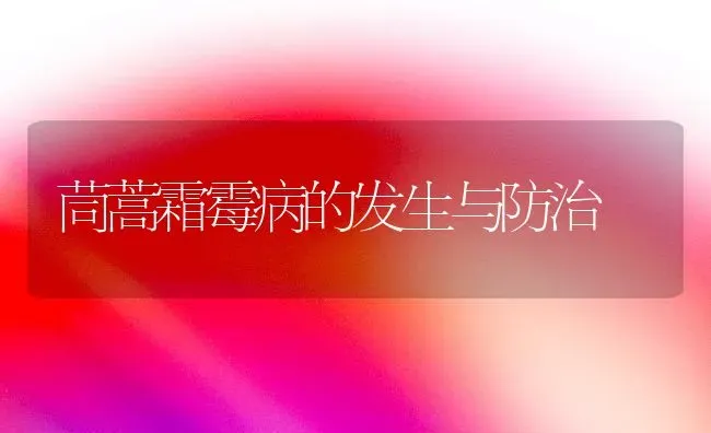 茼蒿霜霉病的发生与防治 | 养殖技术大全