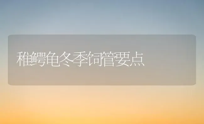 稚鳄龟冬季饲管要点 | 养殖技术大全