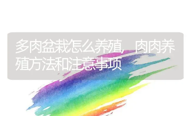 多肉盆栽怎么养殖,肉肉养殖方法和注意事项 | 养殖学堂