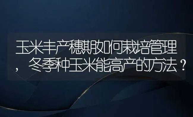 玉米丰产穗期如何栽培管理,冬季种玉米能高产的方法？ | 养殖科普