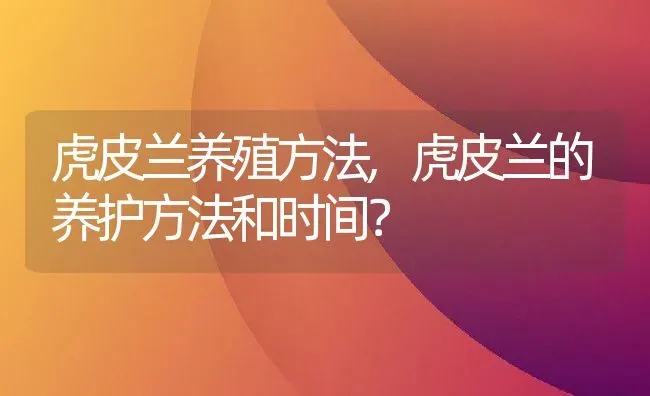 虎皮兰养殖方法,虎皮兰的养护方法和时间？ | 养殖科普