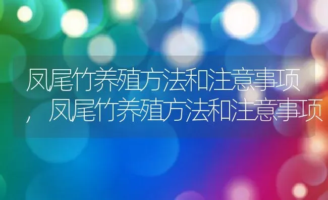 凤尾竹养殖方法和注意事项,凤尾竹养殖方法和注意事项 | 养殖科普