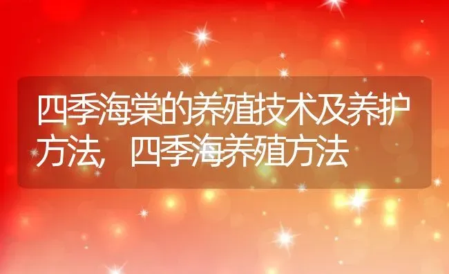 四季海棠的养殖技术及养护方法,四季海养殖方法 | 养殖学堂