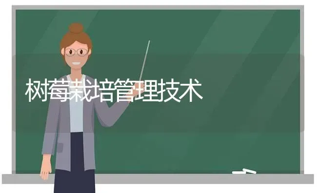 树莓栽培管理技术 | 养殖技术大全