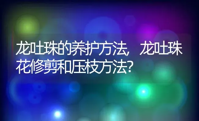 龙吐珠的养护方法,龙吐珠花修剪和压枝方法？ | 养殖科普