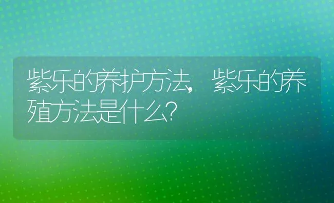 紫乐的养护方法,紫乐的养殖方法是什么？ | 养殖科普