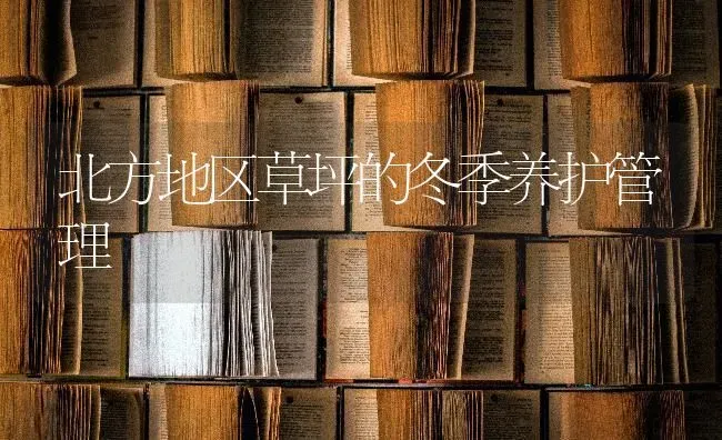 北方地区草坪的冬季养护管理 | 养殖技术大全