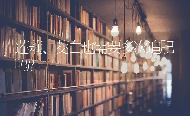 莲藕、茭白也需要多次追肥吗? | 养殖知识